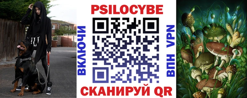 дарнет шоп  дарк нет как зайти  Галлюциногенные грибы Cubensis  Чудово 